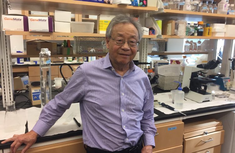 Kenneth Tung, MD, has discovered an immune system link science said didn't exist.