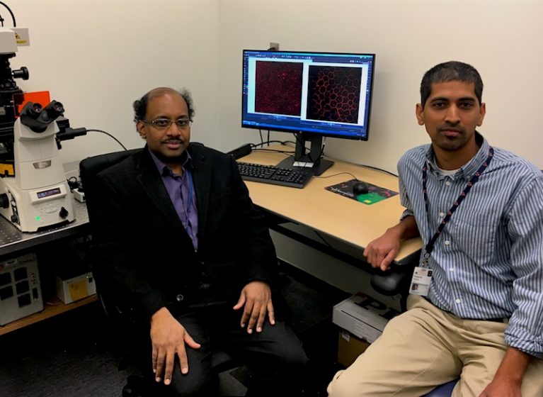 Jayakrishna Ambati, MD, (left) and Nagaraj Kerur, PhD, have discovered a key trigger for the inflammation that leads to vision loss for millions with macular degeneration.