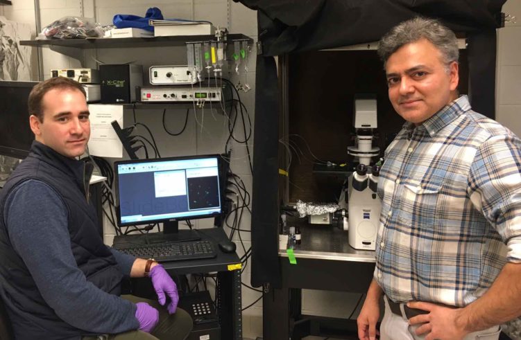 Graduate student Michael Schappe (left) and Bimal Desai, PhD, have discovered a switch that could let doctors shut down inflammation.