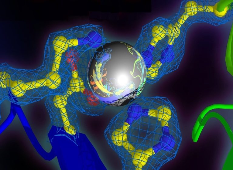 An illustration of architecture from the submicroscopic world, created with knowledge gleaned through X-ray crystallography.