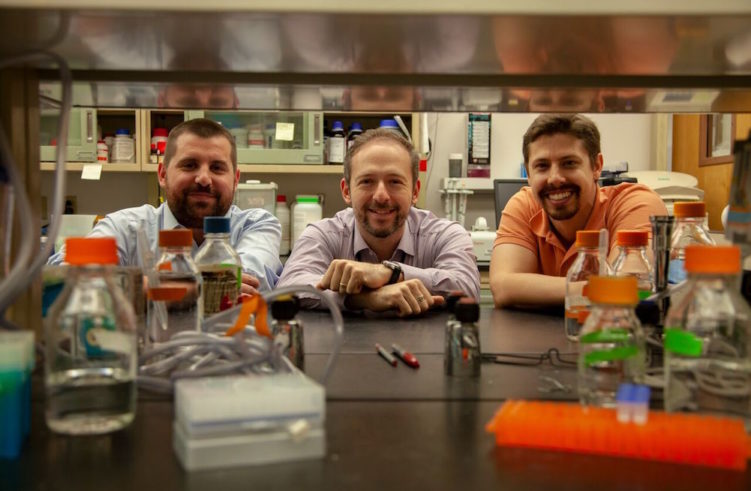 The research team behind the brain discovery included, from left, Antoine Louveau, Jonathan Kipnis and Sandro Da Mesquita.
