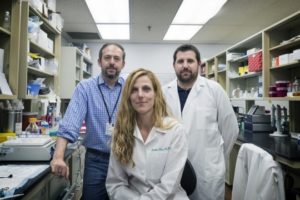 Researchers Jonathan Kipnis (from left), Jasmin Herz and Antoine Louveau have determined that lymphatic vessels surrounding the brain play a critical role in multiple sclerosis -- and offer a potential new treatment avenue.