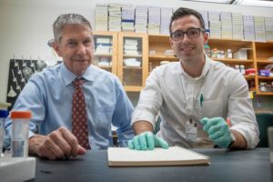 Researchers Gary Owens (left) and Ricky Baylis and colleagues have found a positive role for inflammation in atherosclerotic lesions inside the blood vessels.