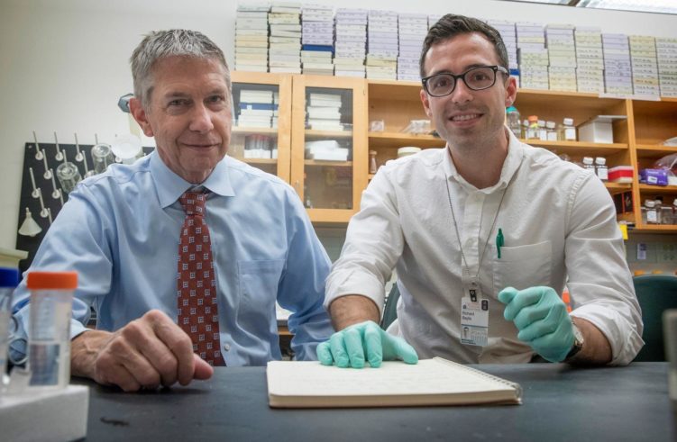 Researchers Gary Owens (left) and Ricky Baylis and colleagues have found a positive role for inflammation in atherosclerotic lesions inside the blood vessels.