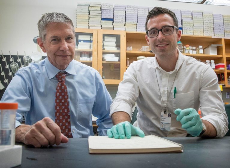 Researchers Gary Owens (left) and Ricky Baylis and colleagues have found a positive role for inflammation in atherosclerotic lesions inside the blood vessels.