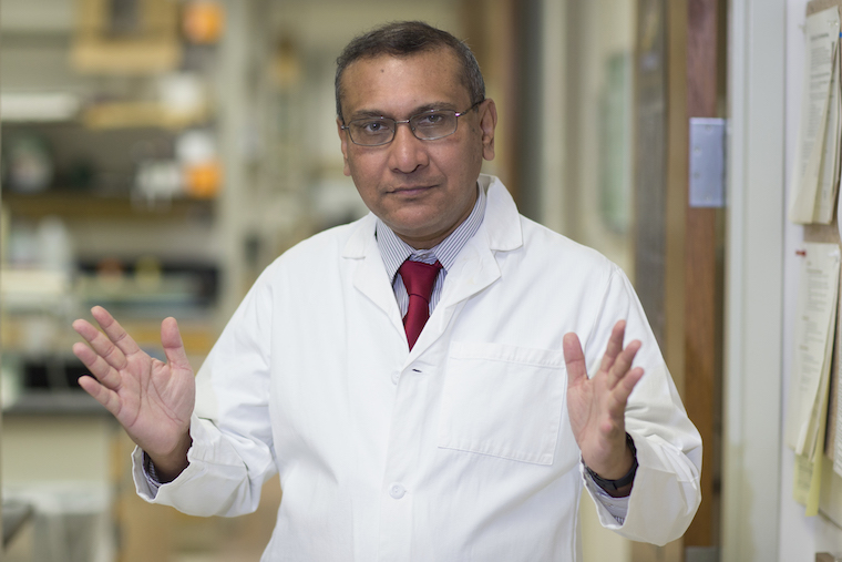 Anindya Dutta, PhD, MBBS, and his colleagues have made a discovery about HPV that could lead to new treatments for cervical cancer and other cancers caused by the common virus.