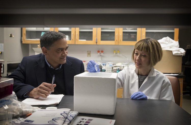 Kodi Ravichandran (left) consults with Sanja Arandjelovic about the lab's rheumatoid arthritis discovery that could pave the way for a new treatment for the joint inflammation that characterizes the condition.