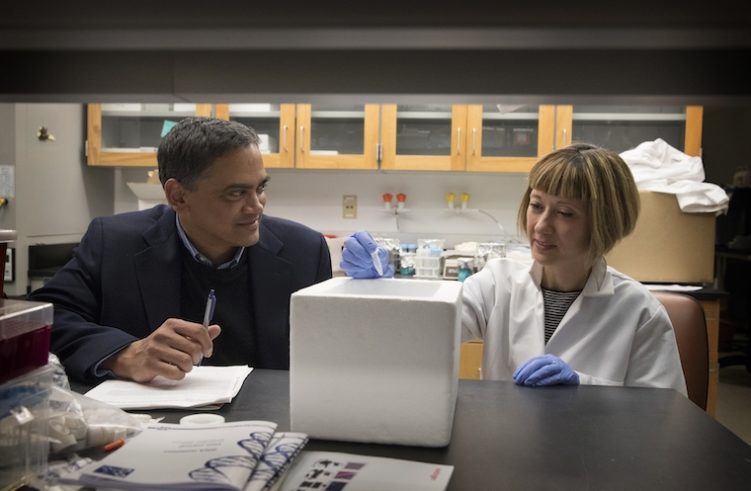 Kodi Ravichandran (left) consults with Sanja Arandjelovic about the lab's rheumatoid arthritis discovery that could pave the way for a new treatment for the joint inflammation that characterizes the condition.