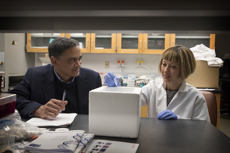 Kodi Ravichandran (left) consults with Sanja Arandjelovic about the lab's rheumatoid arthritis discovery that could pave the way for a new treatment for the joint inflammation that characterizes the condition.