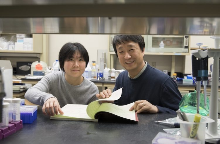 Researchers Ting-Ting Du, PhD, (left) and Jung-Bum Shin, PhD, have identified a potential contributor to age-related hearing loss.