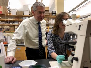 Researchers Gary K. Owens and Molly R. Kelly-Goss work in the lab to understand angiogenesis, the formation of blood vessels.