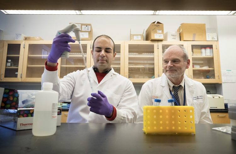 Researchers Mahmoud Saleh (left) and William A. Petri Jr. have shed light on why C. difficile infections are so dangerous.