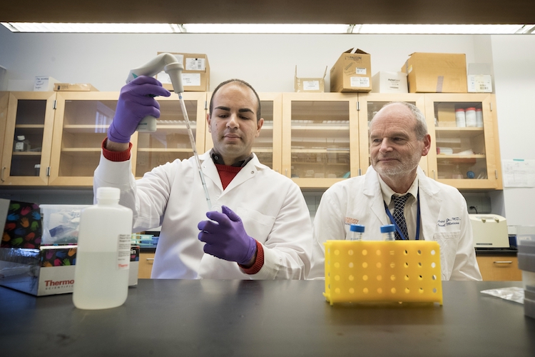 Researchers Mahmoud Saleh (left) and William A. Petri Jr. have shed light on why C. difficile infections are so dangerous.