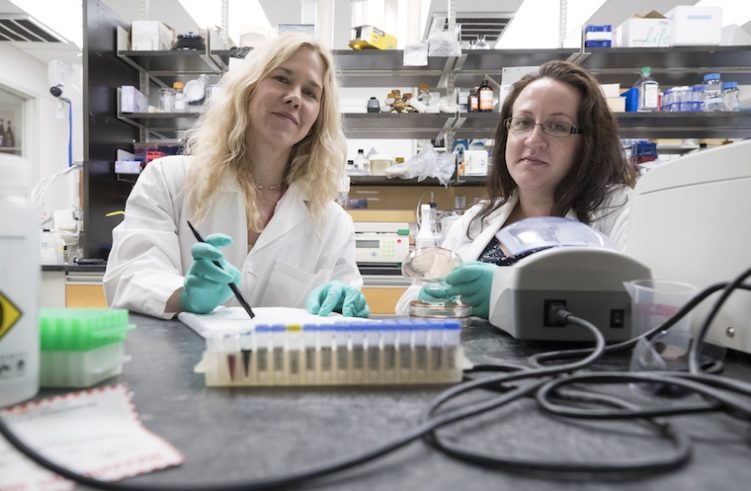 UVA's Melissa Kendall and Elizabeth M. Melson collaborate in the lab.