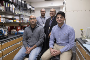 Members of the research team pose in a lab.