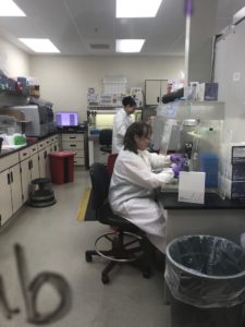 Dawn Dirks works in a lab at UVA.