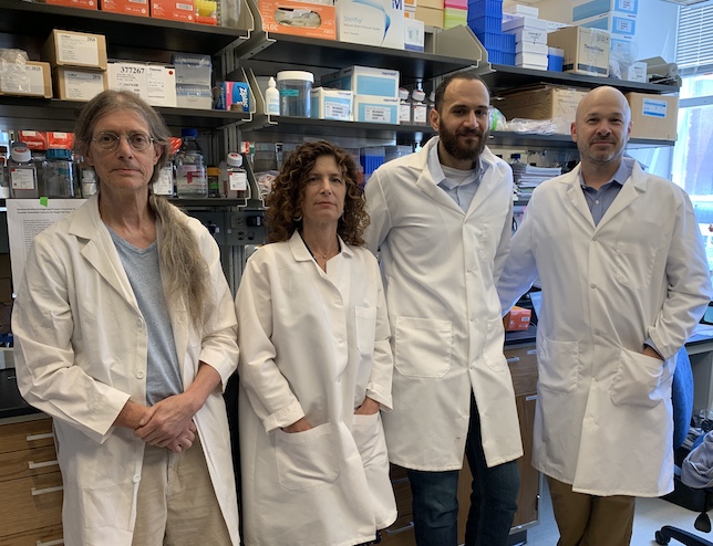Larry Mesner, Gina Calabrese, Basel Al-Barghouthi and Charles Farber pose in a lab.