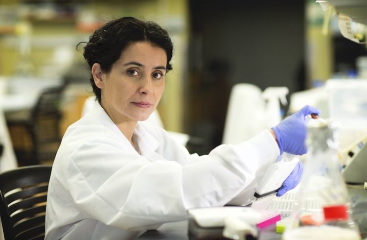 Eyleen O'Rourke wears a white coat as she works at a lab bench.