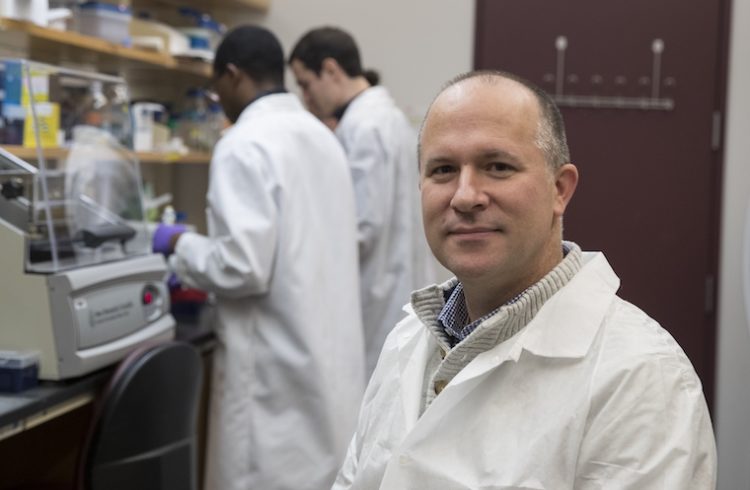 Jason Papin in his lab.