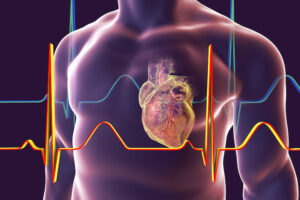 Computer rendering of heart