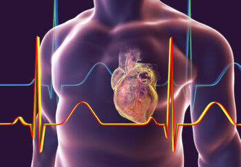 Computer rendering of heart