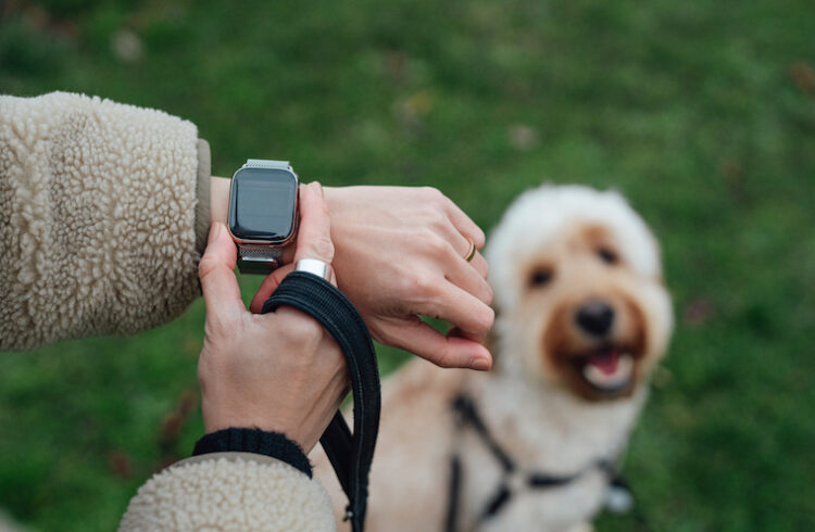 A woman wears a smartwatch with dog in background