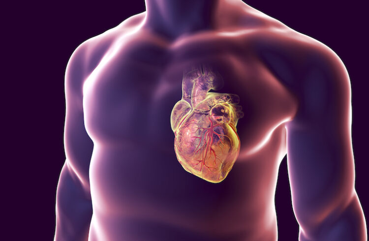 CGI heart illustration