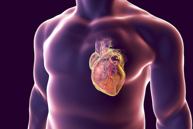 CGI heart illustration